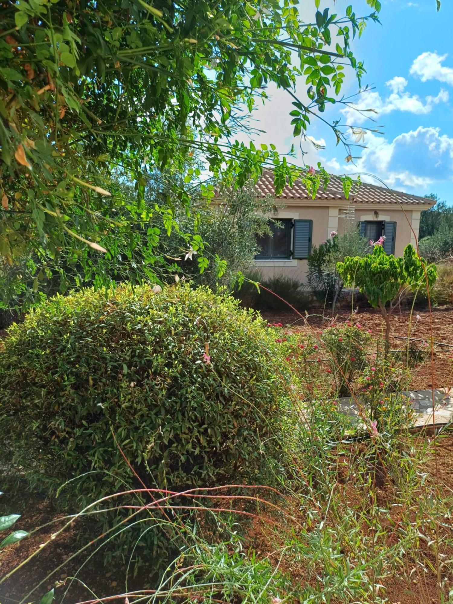 Korallis Villas Karavádhos Rom bilde